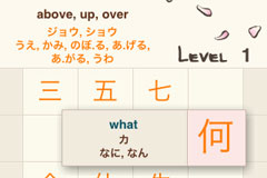 Wrong Kanji Popup