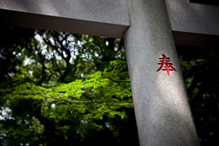 Japan Images: Serenity in Kichijoji